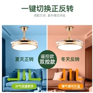 Opple Fan Lamp Lamp in the Living Room Nordic Frequency Conversion Invisible Mute Simple Atmosphere Restaurant Ceiling F