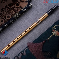 LUCILLE Irish Whistle Flute, 6 Hole Professional Ireland Flute, Musical Accessories Alloy Musical In