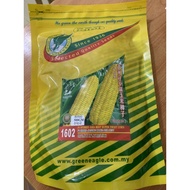 GREEN EAGLE F1 HIBRID JAGUNG MANIS 1602