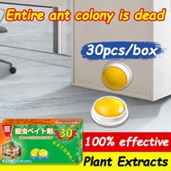 【30pcs/box！Ant killer】VGD Ant killer Ant bait gel Ant bait killer Ant gel killer Ant poison 100% mor