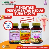 Herbal Tuba Falopi Tersumbat Kista Ovarium Endometriosis Pengencer