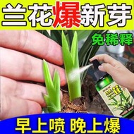 【有機肥】【花肥】蘭花病全治【想死都難】葉黃葉斑黑斑枯斑枯萎爛根死根專用營養液