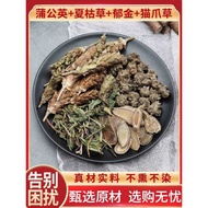 Dandelion Summer Dried Ball Dandelion Root Raw Material