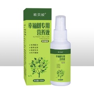 Obe Plant Nutrition Liquid Happy Tree Succulent Potted Green Plant Flowers Diluted-Free Foliar Ferti