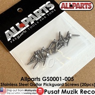 Allparts GS0001 Stainless Steel / Black / Gold Guitar Pickguard Screws (20pcs) Elektrik Gitar Part G