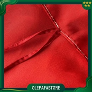 Germany Country Flag Euro Flag 2024 Peak