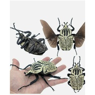 Bandai Japan Gashapon Golathus Orientalis 7inch Big Realistic Beetle Figure