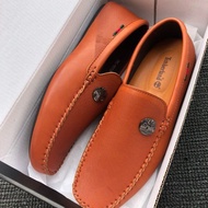 Loafer &amp; boat collection ( TIMBERLAND )