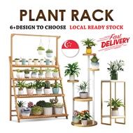 Planter Premium Unique Interior Flower Rack Gold Stand/Plant rack/Plant Pot rack/Minimalist Plant Rack/Wooden Plant Rack