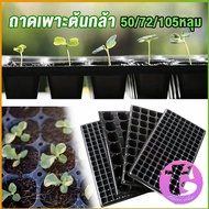 Thai Dee ถาดเพาะต้นกล้า  ถาดเพาะชำ ถาดเพาะเมล็ด ใช้ซ้ำได้ Seedling Tray