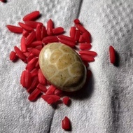 S1s1k ul4r v1per motif ring stone natural