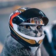 Pet Helmet Pet Hat Dog Hat Cat Hat Cat Helmet  Cat Motorcycle Helmet