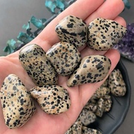 หิน Dalmatian Jasper | หินดัลเมเชี่ยนแก้วขัดเงา | หินดัลเมเชี่ยน | เรกิคริสตัลรักษา | ความวิตกกังวลส