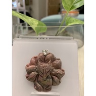 Rhodonite 9 Tails Fox 🦊Pendant