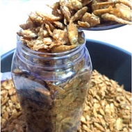 Baby FISH 200GR KRIUK/Savory CAMILAN /KRISPI