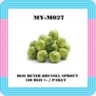 Biji Benih Brussel Sprout (Paket Besar) / Beussels Sprout Seeds (Large Pack) / 包子甘蓝种子 (大包装)