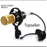 Fee Mic Black Spider Bm-800 Mic Studio Mic Condenser Original