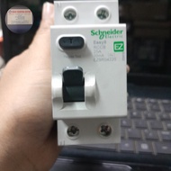 Elcb 2P 25A 30Ma Ez Schneider