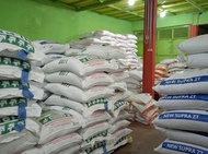 ! PAKAN MAKANAN AYAM UNGGAS PEDAGING PUR VOER 511 BRAVO 50KG | 1 SAK BAL -