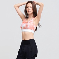 ((((Ocean Mango)) BARREL Ocean Series Women's Swimwear Top (Total 4 Colors)