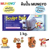 ดินปั้นสำเร็จ สีขาว / น้ำตาลอ่อน 250g / 500g / 1000g ยี่ห้อ Mungyo ดินปั้น Air Dry Clay ดินปั้นญี่ปุ่น ดินเบา ดินญี่ปุ่น