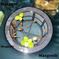 MAXGOODS Fish Fry Cage, Floating Large Capacity Aquarium Filters,  Reusable Fish Fry Isolation Box F