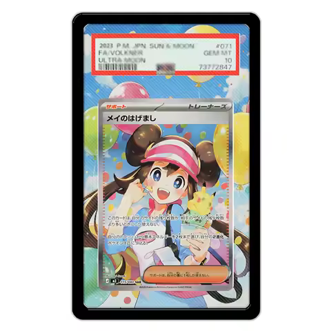 Art Display for Rosa Ex Ptcg Card Extended Art Acrylic Protective Case Psa Card Collection Storage B