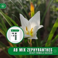 Resep Ab Mix Zephyranthes Formula Racikan Nutrisi Bunga Zephyranthes