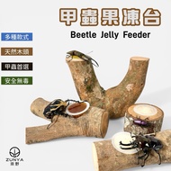 [Wildland] Beetle Jelly Table Jelly Table Natural Wood Beetle Jelly Beetle Jelly Unicorn Stag Beetle