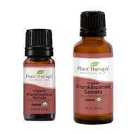 Plant Therapy Organic / Non-Organic Frankincense Serrata Essential Oil