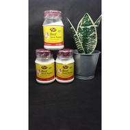 JAY'S BEEF STOCK BEEF BROTH/ 150GR