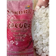sakura rice 25kg Price & Voucher Jul 2026 | BigGo Philippines