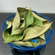 Bay Leaf (Indonesian Bay Leaf)