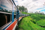 สถานที่ท่องเที่ยว/กิจกรรม Excursion to Hill Country by Train (5) - Negombo