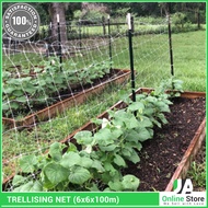 High Quality Trellising Net (6x6x100meters) Crop Support Trellis