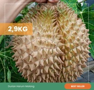 Durian montong utuh Cane Singaraja Bali 2,9kg