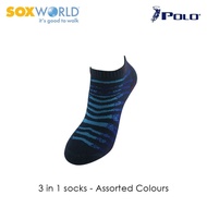 [SOXWORLD] Polo Haus Tiger Stripes Design Ankle Socks from Sox World (3 Pcs) 25-2117