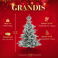 ต้นคริสต์มาส 240 cm. Grandis Fir Snowy - Christmas Tree