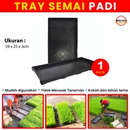 TRAY SEMAI PADI tray semai microgreen rice seedling tray paddy pot tray