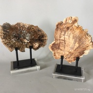 Fossil Wood Tray Living Room Entrance Decoration Display Window Ornament Home Soft Decoration Model 