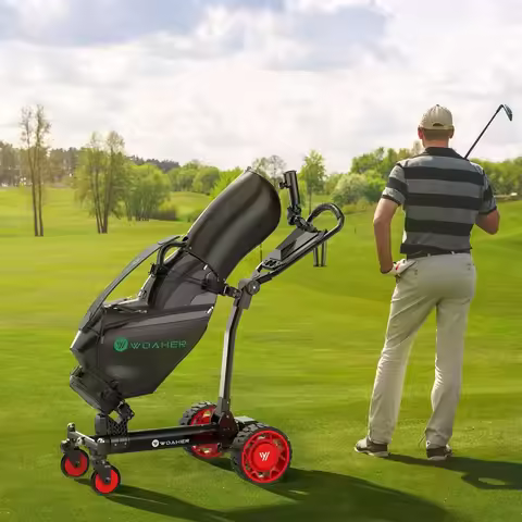 250*2 W 40km Range Control Battery Power Electric Golf Trolley Portable 4 Wheels Electric Golf Car