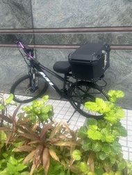 Ebike 1000w