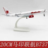 20CM Alloy Airplane Model Horse Seal Co-line 737-8 Souvenir Collection Boeing 737 Horse Seal Co-line