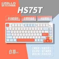Hello Ganss HS75T RGB Wireless Bluetooth Mechanical Keyboard with Knob Plug And Play USB Type C Conn