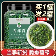 Wannianqing Dehydrated Dried Vegetables Dried Green Vegetables Ningbo Specialty Dried Vegetables Oli