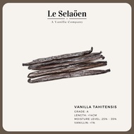 Premium Grade Tahitensis Vanilla Bean / Vanilla Pod