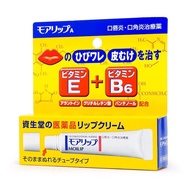 Shiseido SHISEIDO MOILIP E B6 護唇膏
