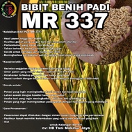 MR 337 RICE SEEDS 2KG PACKAGING