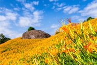 花蓮旅遊．旅展優惠｜瑞穗黃金湯虎爺溫泉美人湯、六十石山金針花賞二日｜台南高雄出發