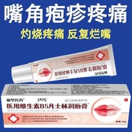 Lip Herpes Lip Herpes Lip Herpes Foaming Bad Herpes Foaming Mouth Pustus Simple Pure Herpes Red Swel